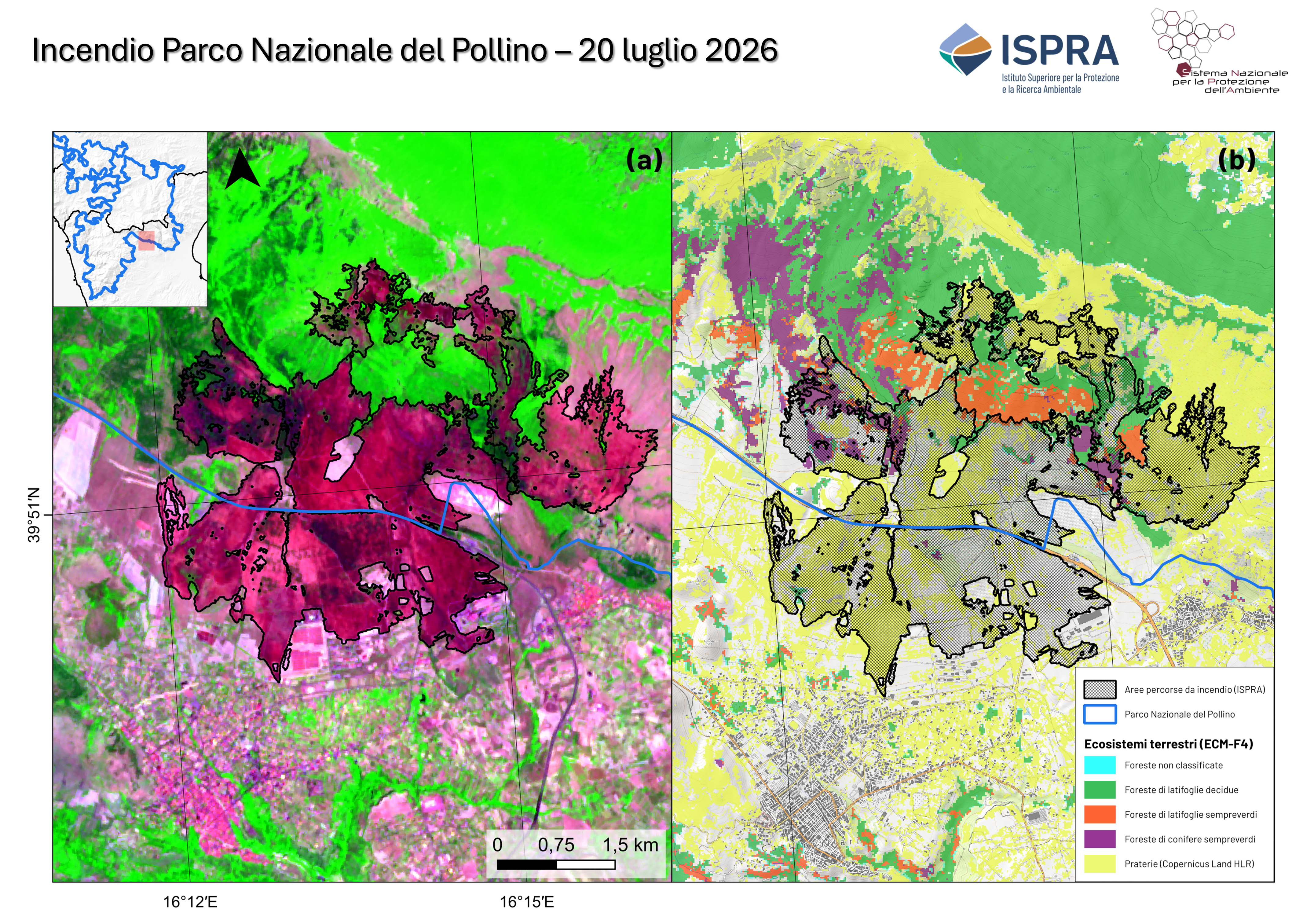 Figura2 PnPollino.png