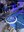 foto installazione mesocosmo dall'alto (21) (1).JPEG