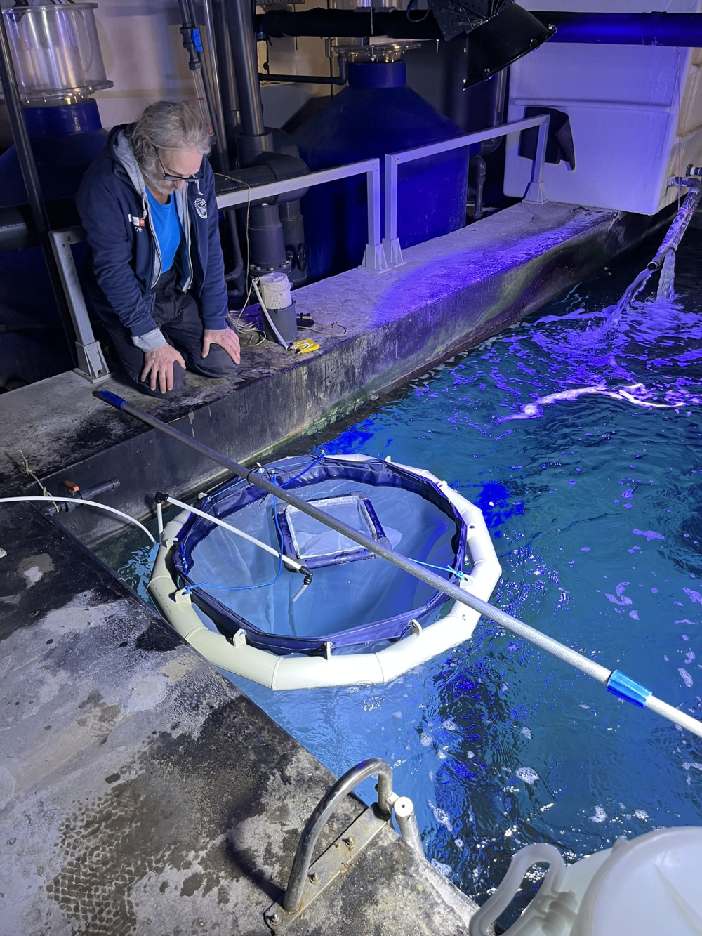 foto installazione mesocosmo dall'alto (21).JPEG