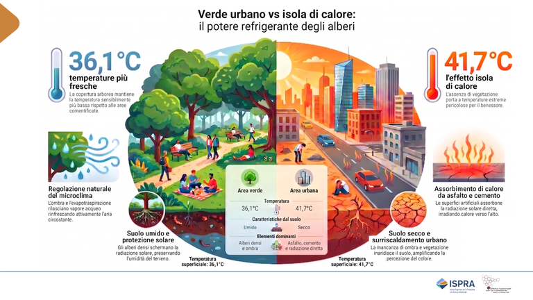 INFOGRAFICA INFOGRAFICA