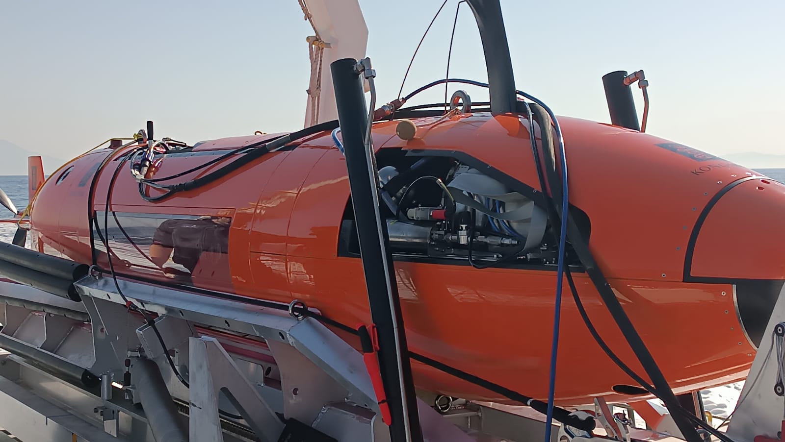 PHOTO-2026-04-03-17-03-53 (1).jpg