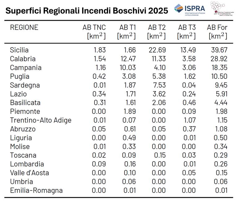 superfici regionali incendi.PNG