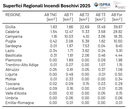 superfici regionali incendi.PNG