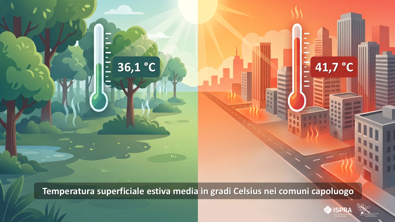 temperatura superficiale estiva media nei comuni capoluogo.PNG
