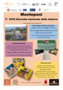 locandina monteponi.jpg