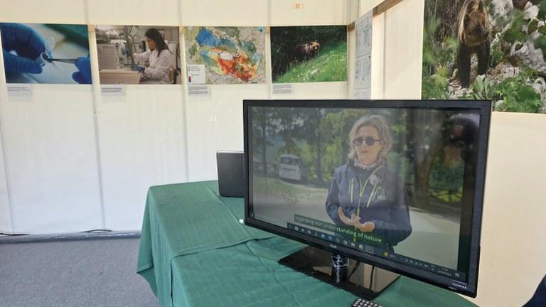 mostra mostra