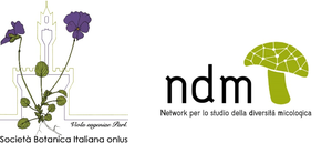 fromazione-ndm.png