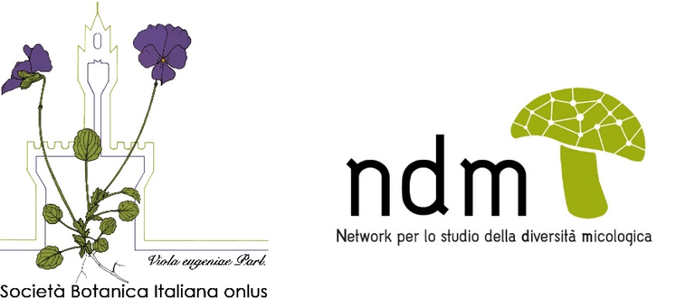 fromazione-ndm.png