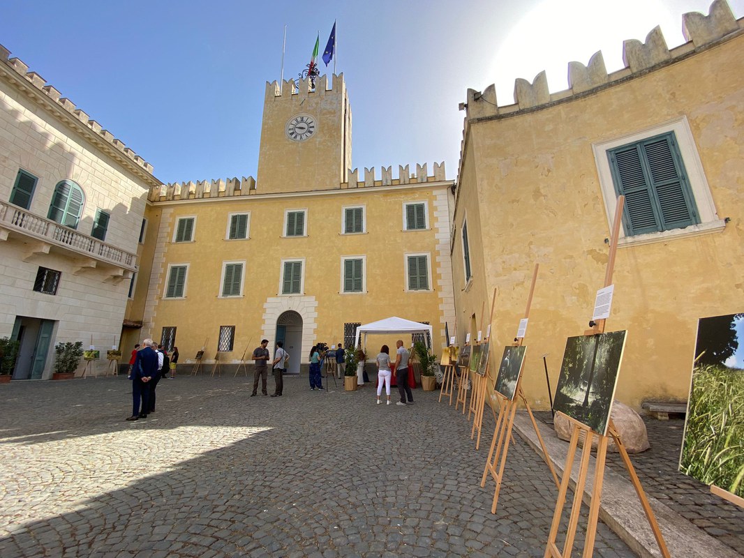 WhatsApp Image 2022-06-03 at 09.31.11.jpeg