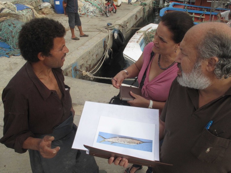 Ricercatori Tunisini intervistano pescatori locali sul tema delle specie aliene. Goulette, Tunisi, Tunisia