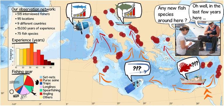 Un abstract grafico per illustrare i siti di indagine, i pescatori intervistati ed il trend di aumento e di espansione geografica delle specie ad affinità tropicale nel Mar Mediterraneo.