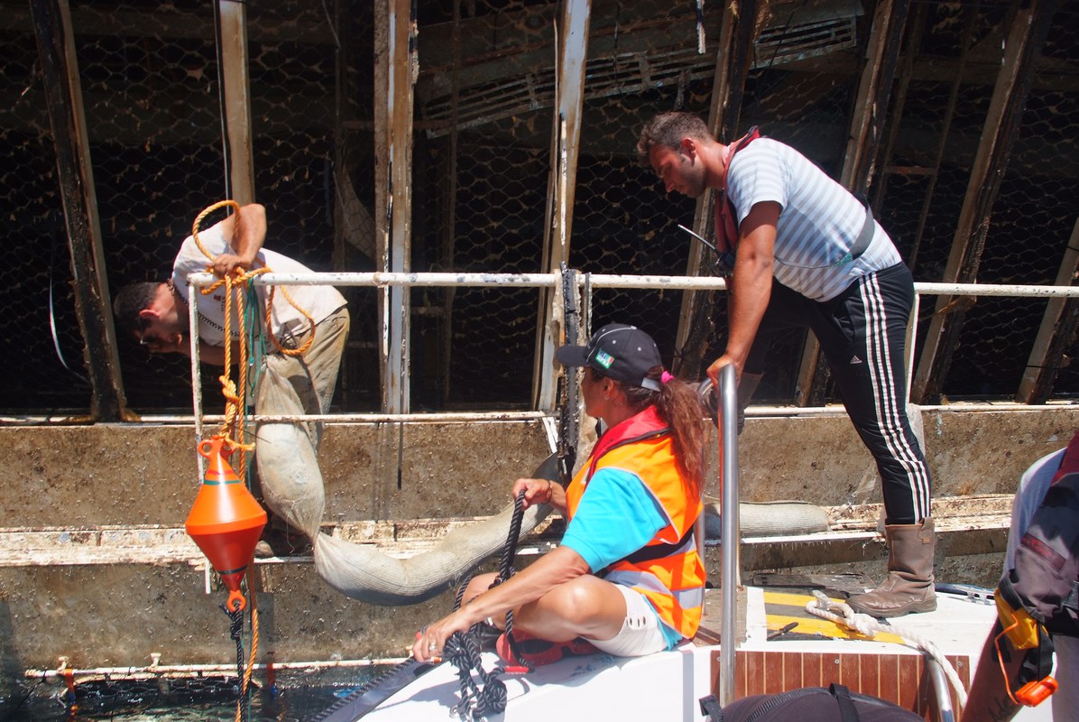 Foto lglio 2019 1730.jpg