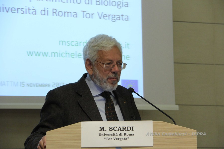 Michele Scardi
