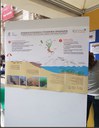 villaggio2.jpg