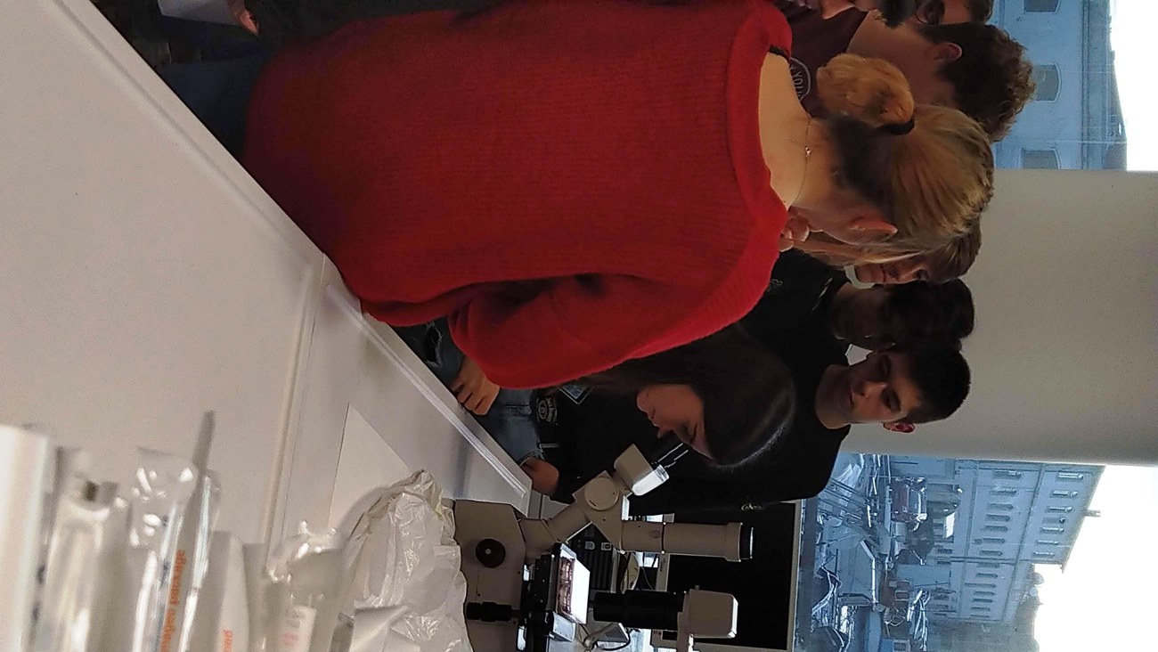 Visione al microsopio nel laboratorio di ecotossicologia e biologia del plancton