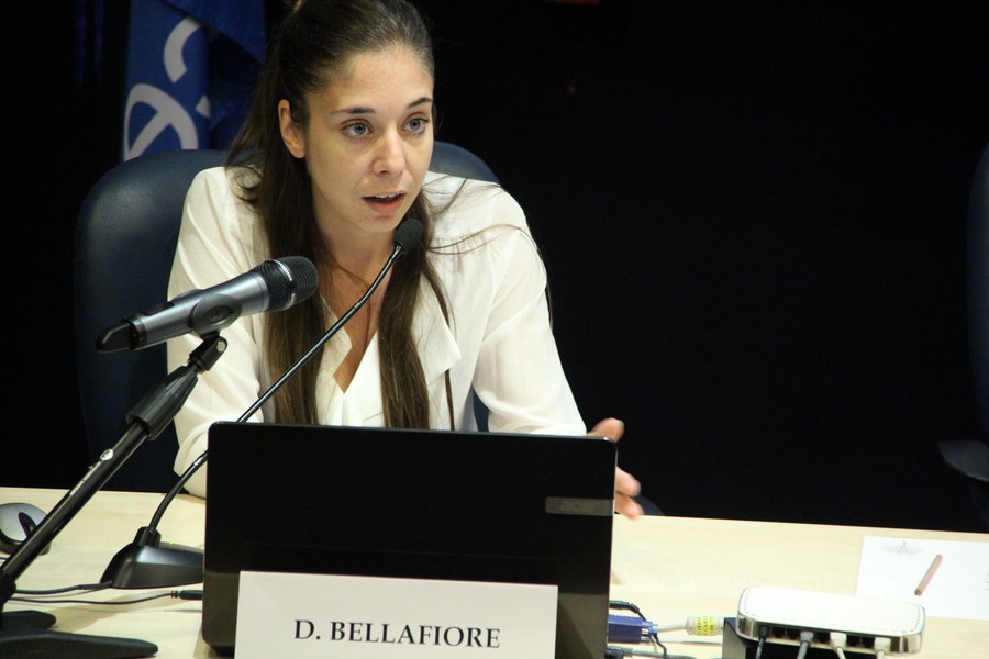 D. Bellafiore (CNR-ISMAR)