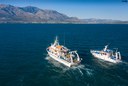 DJI_0872.jpg