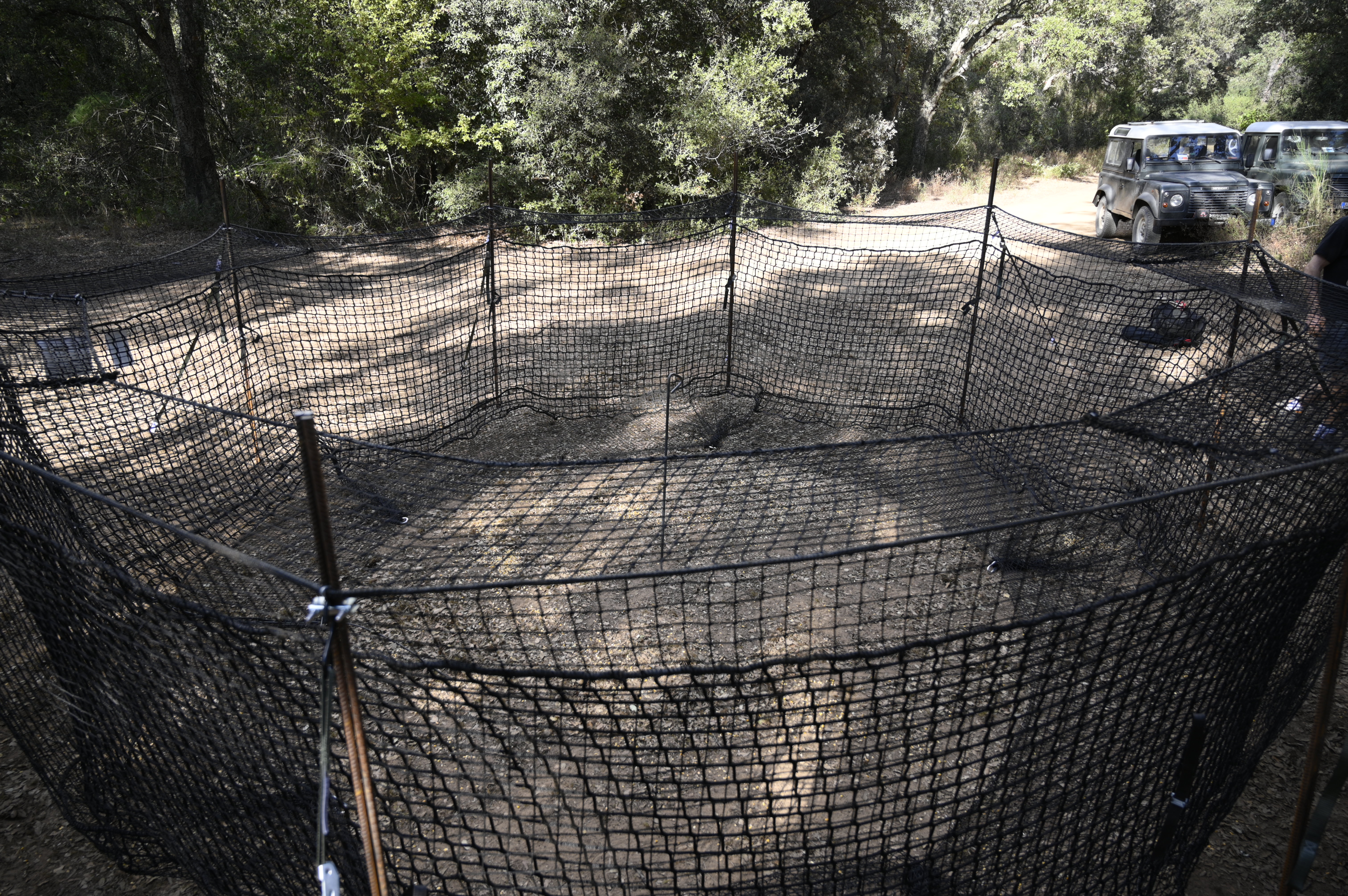 Foto di Alessandro Calabrese