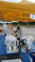 Avvio operazioni a terra 