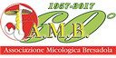 logo-AMB.png