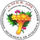 logo AMER.jpg