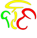 LOGO-Centro micologico friulano.png