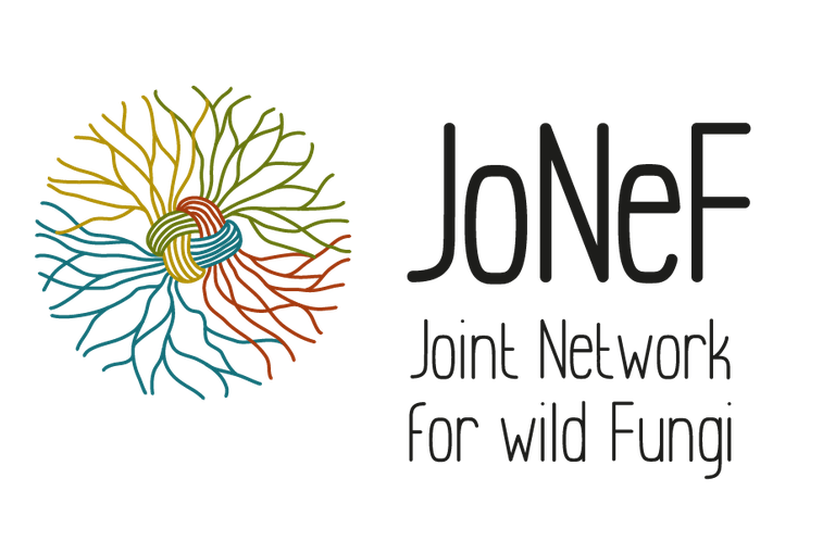 logo JoNeF- colore orizz OK.png