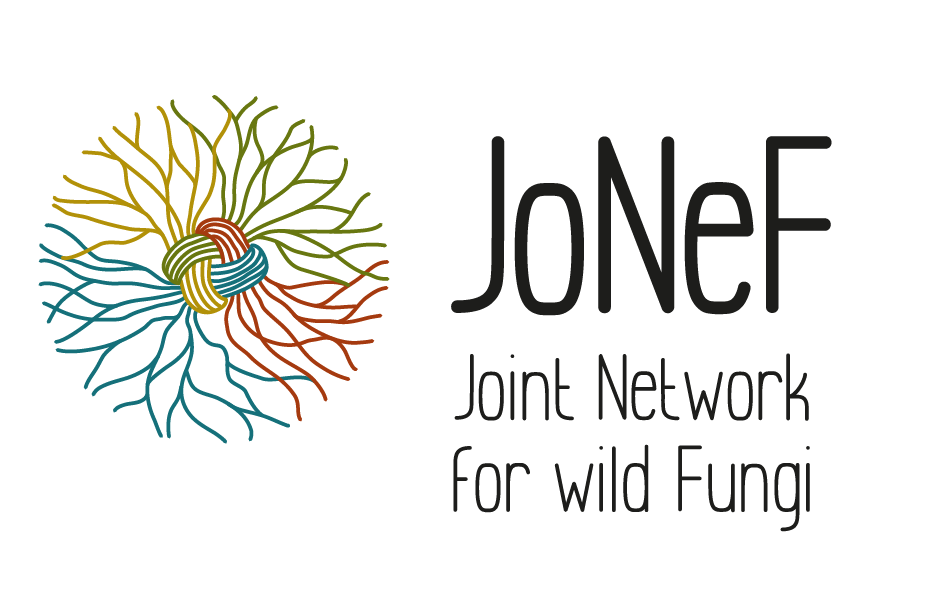 logo JoNeF- colore orizz OK.png