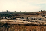 Foresta fossile di Dunarobba (foto Angelelli F., 1987)