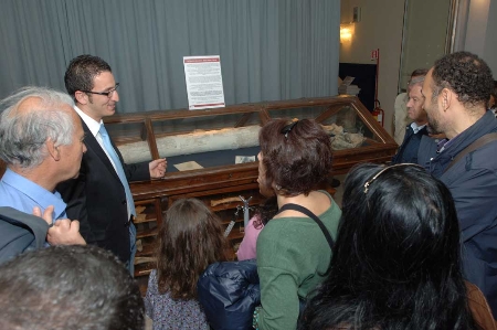 I principali gruppi di organismi fossili conservati presso le Collezioni paleontologiche I principali gruppi di organismi fossili conservati presso le Collezioni paleontologiche