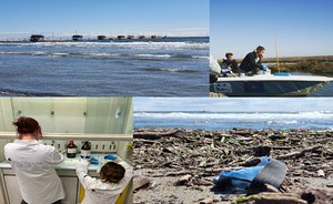 NET SCIENZAINSIEME: Scienza in riva al mare. Quattro chiacchiere sull'ambiente e sul mare con i ricercatori ISPRA