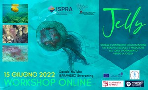Jelly. Sistemi e strumenti di localizzazione dei banchi di meduse e predizione del loro spostamento verso la costa