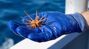 MER: un progetto grande come il mare