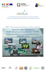 Studio degli effetti del traffico marino su biodiversità ed ecosistemi nello stretto di Sicilia