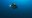 L'ISPRA al Camogli International Marine Reserves Film Festival