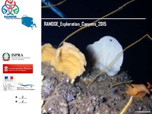 Campagna oceanografica “RAMOGE exploration canyons 2015”