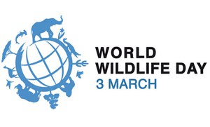 World Wildlife Day 2016