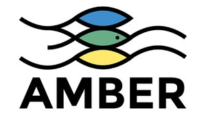 Presentazione del Progetto AMBER