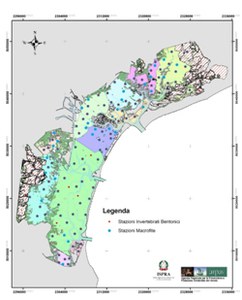 ISPRA e ARPAV, 10 anni di collaborazione nel Monitoraggio Ecologico della Laguna di Venezia
