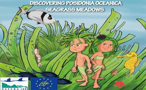 Fumetto "Discovering Posidonia oceanica seagrass meadows"