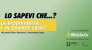 Lo sapevi che...? La biodiversità è in grande pericolo?