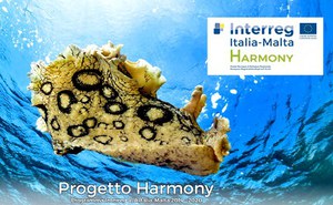 Progetto Harmony, riparte il percorso partecipativo per la costruzione di common policy tra Italia e Malta