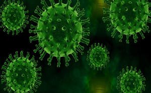 Ambiente e pandemie: le zoonosi