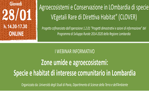 Zone umide e agroecosistemi: specie e habitat di interesse comunitario in Lombardia