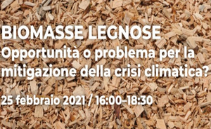 Biomasse legnose: opportunità o problema per la mitigazione della crisi climatica?