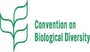 Sessione informale dell'organo scientifico della Convenzione sulla Biodiversità delle Nazioni Unite