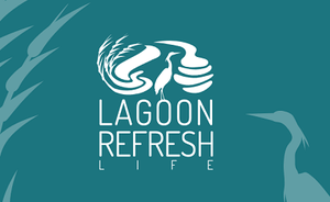 Newsletter n. 4 del progetto LIFE Lagoon Refresh
