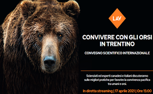 Convivere con gli orsi in Trentino