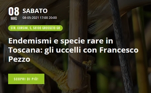 Endemismi e specie rare in Toscana: gli uccelli