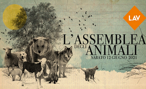 L'assemblea degli animali